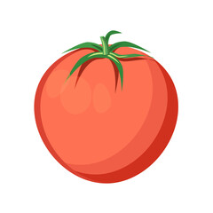 Ripe, juicy tomato on a white background.Vector illustration of a vegetable.It can be used for packaging of the food industry,textiles
