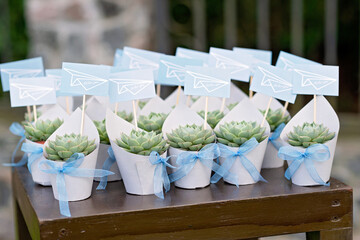 Wedding photo zone with travel decorations. airplane, world map. Soft selective focus.
