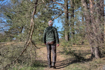 Fototapeta na wymiar The sky is blue and cloudless, a lonely hiker walks along the narrow path through the forest. Hiking in the Lüneburg Heath is a great nature experience for young and old people..