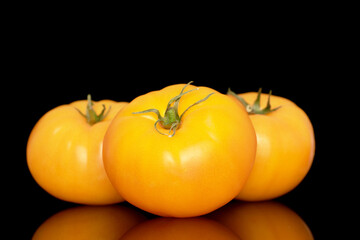 Three yellow juicy tomatoes, macro, isolated on a black background.