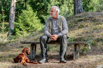 Elderly man sits on a bench in the Luneburg Heath and is happy that he can spend the nice day with his young Irish Setter Pointer in this beautiful nature. - obrazy, fototapety, plakaty