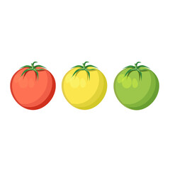 Three tomatoes red, yellow, green isolated on a white background.Vector illustration of vegetables.