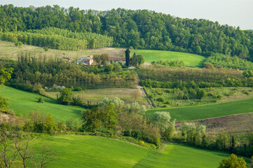 Fototapeta premium Campi e boschi