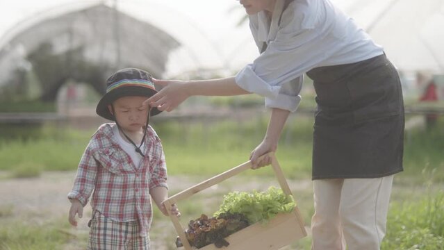 Young beautiful mother and her son carry green oak and red oak basket and walk together in the farm. Soft mood and soft focus. 