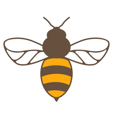 Illustration of honey bee. Image for food and agricultural industry.