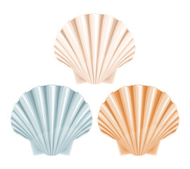 Set of sea shells clipart in flat design