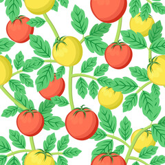 Seamless pattern tomatoes are yellow and red,a plant with foliage on a white background.Vector illustration.