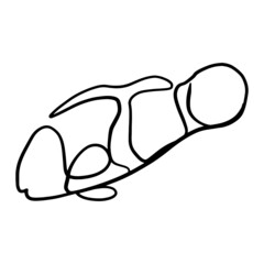 clownfish continuous line drawing. One line art 