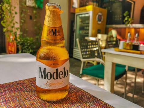 Modelo beer bottle in restaurant PapaCharly Playa del Carmen Mexico.