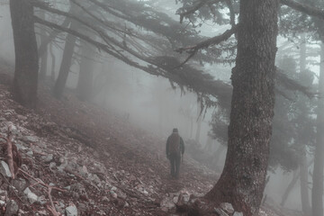 Hike in fog forest