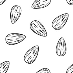 Almond nut seamless background seeds of the tree