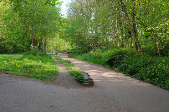 old railway platform on the monton and roe green loop line path