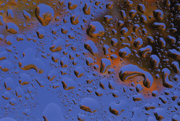 Close-up of water droplets on a surface