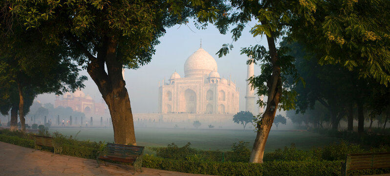 Trees in a park with a mausoleum in the background, Taj Mahal, Agra, Uttar Pradesh, India
