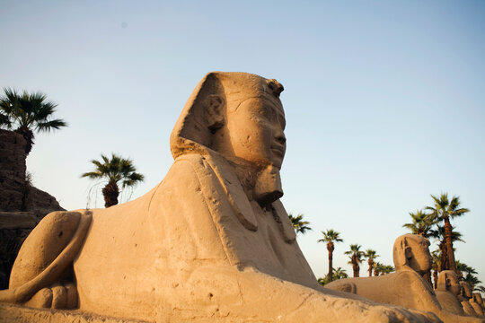 Egypt, Luxor, Luxor Temple, Avenue of the Sphinxes