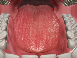 Close up of the human mouth and human tongue
