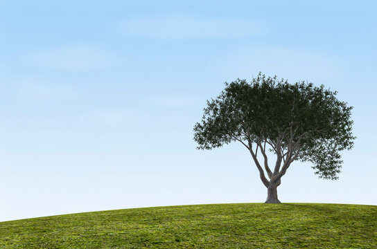 Oak tree and Grass, Digitally Generated Image by Hank Grebe