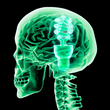 Brain with green light bulb II, Digitally Generated Image by Hank Grebe