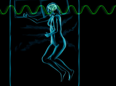 Illustration of a woman sleeping with brain highlighted