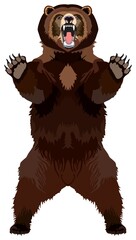 Grizzly brown bear animal vector drawing on isolated background standing in attack position full mouth opened prominent tusks ready to kill angry north America wildlife cartoon illustration