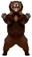 Fototapeten Grizzly brown bear animal vector drawing on isolated background standing in attack position full mouth opened prominent tusks ready to kill angry north America wildlife cartoon illustration © udaix