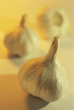 Close-up of garlic