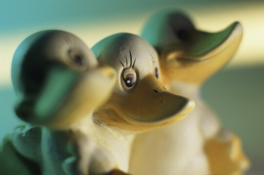 Close-up of three rubber ducks