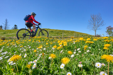 Fototapeta premium pretty senior woman riding her electric mountain bike in springtime in the Allgau mountains near Oberstaufen, with blooming spring flowers in the Foreground, Bavaria, Germany