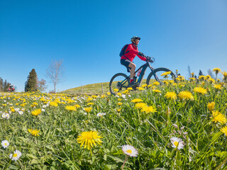 pretty senior woman riding her electric mountain bike in  springtime in the Allgau mountains near...