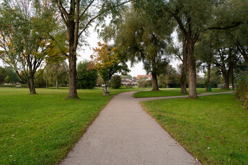 Fototapeta na wymiar Pathway in a autumn morning in the park
