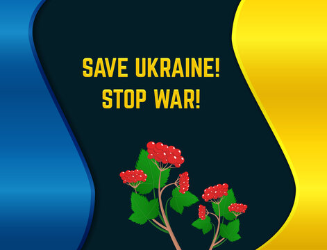Ukrainian flag color background and red viburnum branch