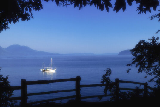 Sailboat in the sea, Scenic Beach State Park, Seabeck, Washington State, USA
