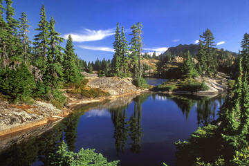 Reflection of trees in a lake, Rampart Lakes, Washington State, USA
