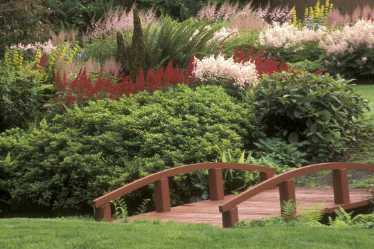 Flowers in a garden, Bremerton, Washington State, USA