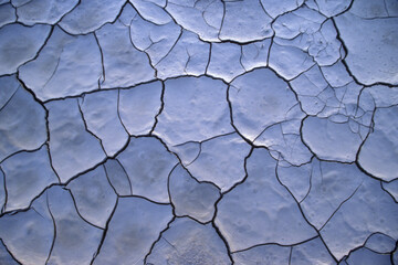 Close-up of dry cracked mud