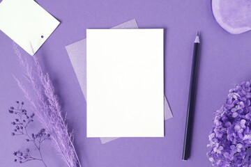 Blank greeting card, invitation mockup. Dry grass, pampas plant on violet table background. Flat lay, top view. Copyspace. Paper cards, mock up. Modern Minimal business brand template. Soft shadow, A6
