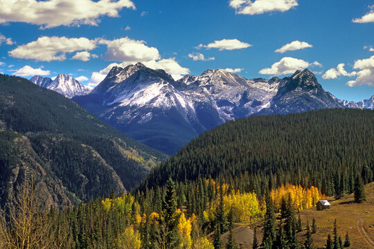 High angle view of trees on a landscape, Molas Pass, Colorado, USA