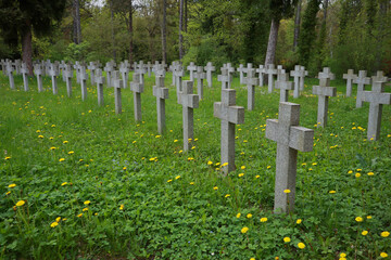 Old cemetery in green forest