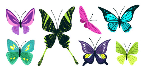 Set of seven tropical butterflies, hand drawn 