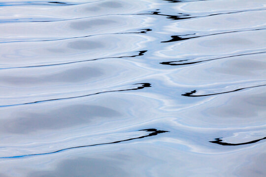 Pattern of waves in the bay, Glacier Bay, Glacier Bay National Park, Alaska, USA