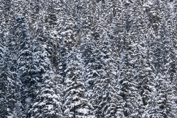 Landscape near Garmisch-Partenkirchen in Bavaria