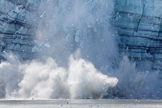 Icebergs calving with splash from the glacier, Margerie Glacier, Glacier Bay National Park, Alaska, USA