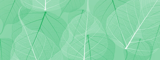 Paper with leaves pattern. Spring green background. 