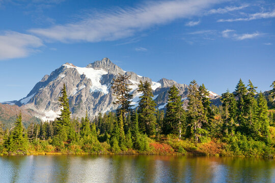 Reflection of trees in a lake, Mt Shuksan, Mount Baker National Recreation Area, Washington State, USA