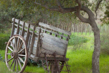 Mexico, Tecate, Rancho La Puerta, Old wooden cart