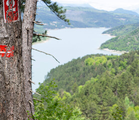 Grand lac de montagne étendu au milieu des forêts 