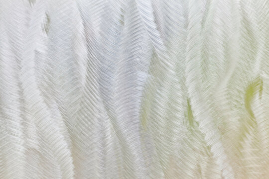 USA, Washington State, San Juan Islands, Roche Harbor, Abstract patterns