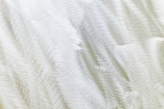 USA, Washington State, San Juan Islands, Roche Harbor, Abstract patterns