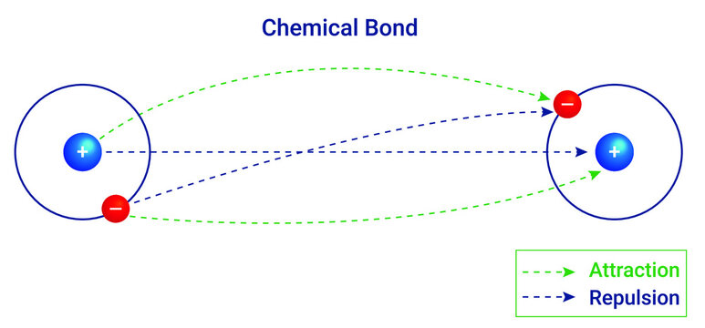 The forces of attraction and repulsion that holds two or more atoms, ions or molecules together is called as a chemical bond