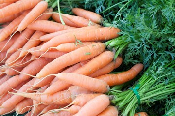 USA, California, La Jolla Farmer's Market, Organic carrots